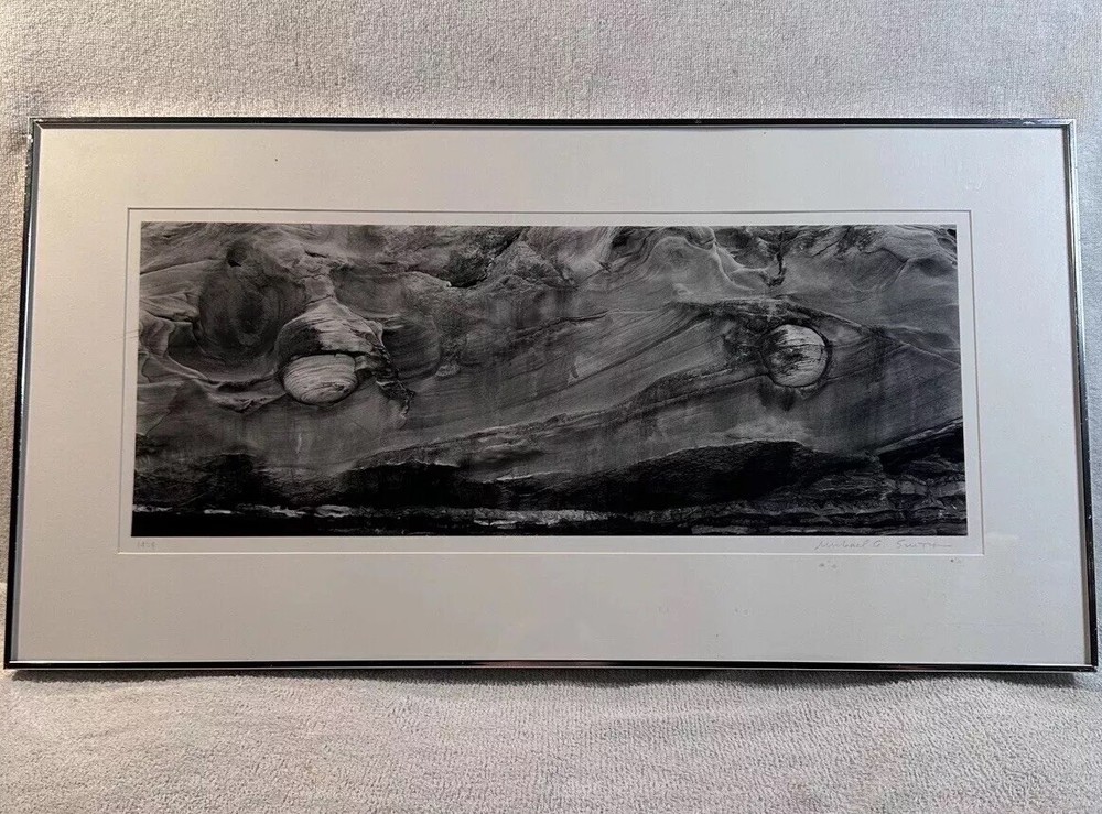Michael A Smith Photography Signed Shore Acres #6 Oregon 1979 8×20 Print + Frame