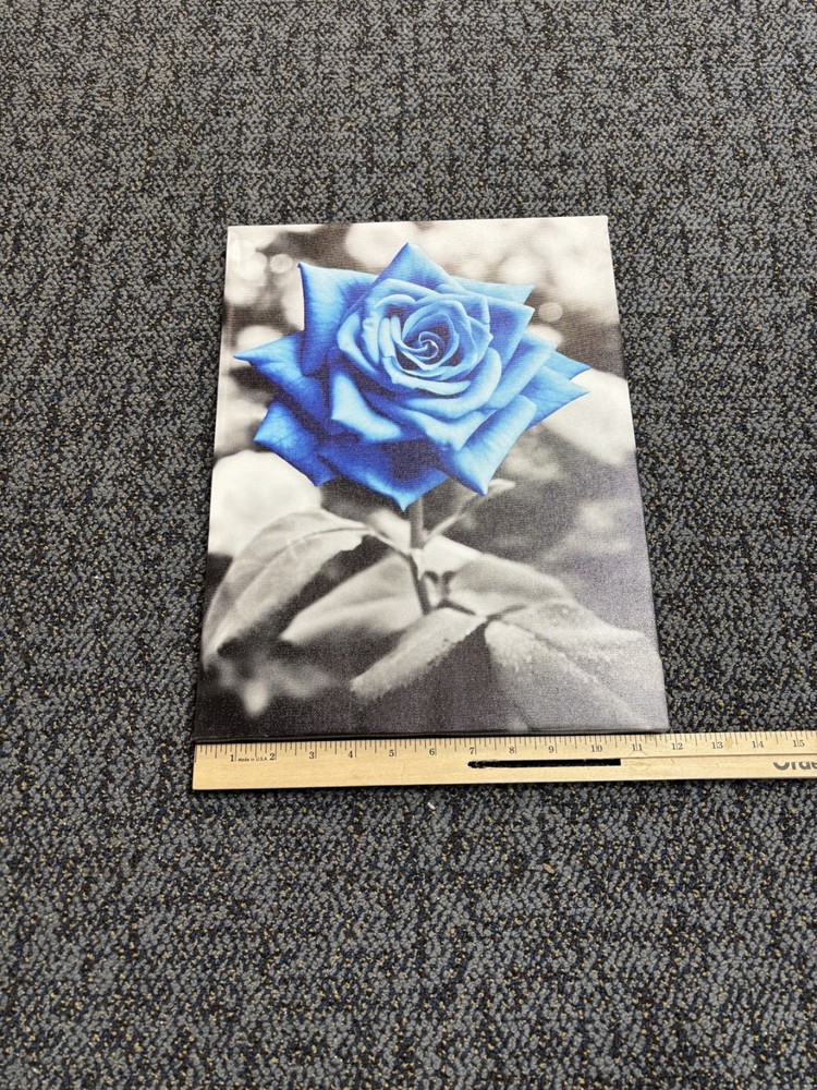 12 in x 16 in Blue Rose Photo Framed 1