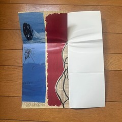 DAU 10 24.22 COMME des GARCONS COLLECTIONS DM ART BOOKLET PHOTO BOOK
