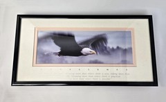 Excellence King Of The Skies Eagle Photo Art Framed Frank Oberle Photography