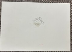MICHAEL A RUSS HAND SIGNED HANDCOLORED GELATIN SILVER PHOTO TINTONES 1993