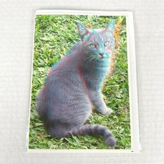 Gray Kitty Cat Hotel 3-D 3D Photograph Art Phantom Image Barry Rothstein New