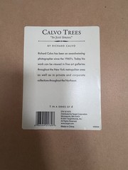 Richard Calvo ‘In Just Spring’ Framed Black & White Landscape Tree Photograph
