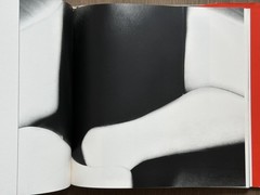 RARE 1977 First Edition Eikoh Hosoe “Embrace” Japanese Photobook Asahi Sonorama