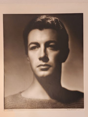 LARGE HURRELL SIGNED 16 X 20 ROBERT TAYLOR PORTRAIT HANDSOME HOLLYWOOD GLAMOUR