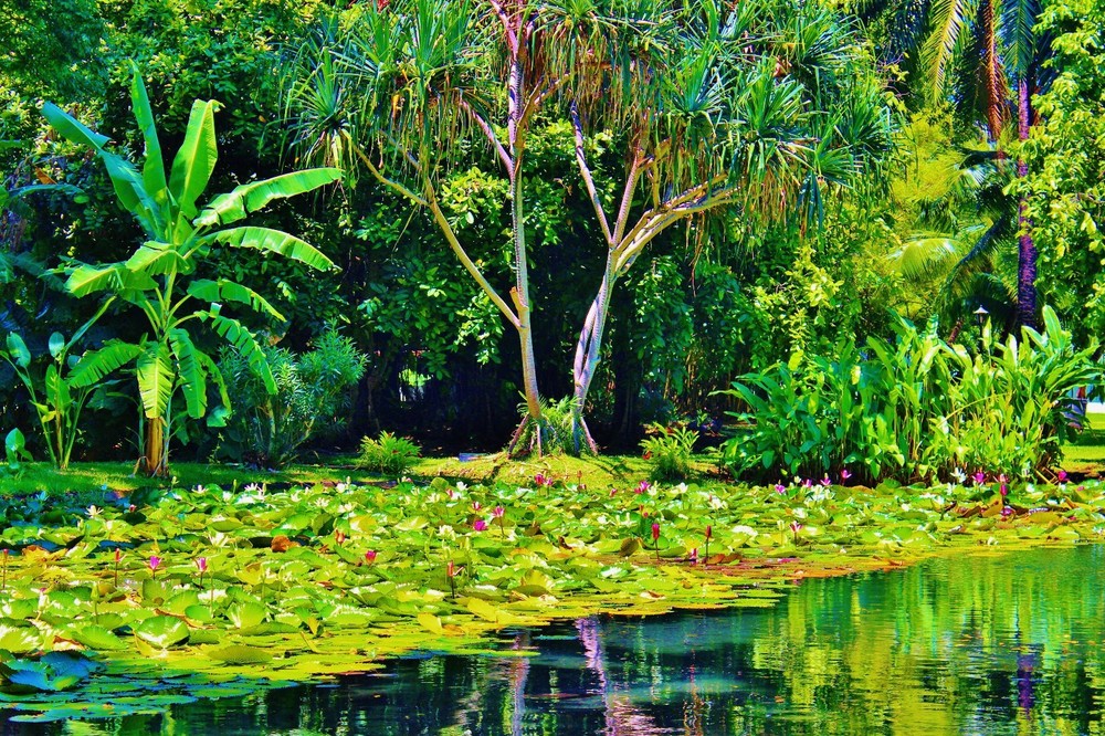 Photo of Tahitian lagoon. 24″x16″x.75″ photo on canvas and mounted by D M Haub.