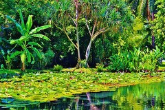Photo of Tahitian lagoon. 24″x16″x.75″ photo on canvas and mounted by D M Haub.