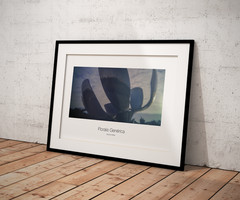 multiple original artwork photography from Argentina and Brazil