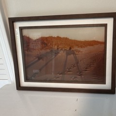 Horses in Shadow Sand Dunes Landscape Photograph Framed 14 1/2” x 11.