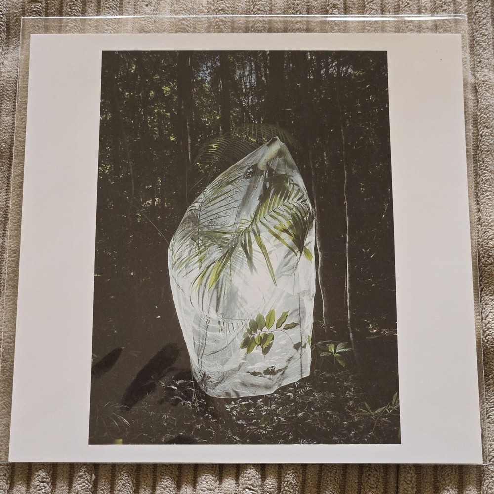 CRISTINA De MIDDEL Magnum Square Print 6″ x 6″ Signed MATA ATLÁNTICA Brazil 2020
