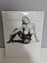 VINTAGE Publishers Photo 8X10 1960’S ART POSED BUXOM NUDE Cherie Pinegar.