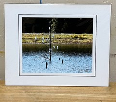 Color photograph signed matted 1 1 x 14 inch birds on pond Texas country