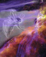 Fantasy Fairy Digital Collage Print Taming the Universe Dream Image of Cosmos