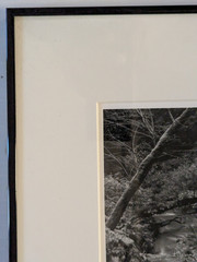 Photo B & W Photography by Rick Lang 1993