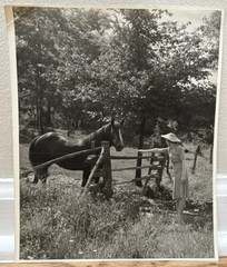 Arthur Gray Standard Oil Photographer Cleveland Ohio Beautiful Woman Horse Look!