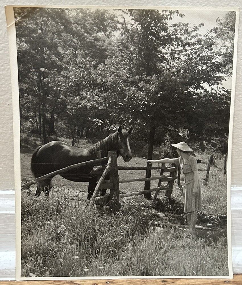 Arthur Gray Standard Oil Photographer Cleveland Ohio Beautiful Woman Horse Look!