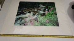 Don Ament «Running Through My Mind»Signed Matted Nature Creek Photograph 16″x20»