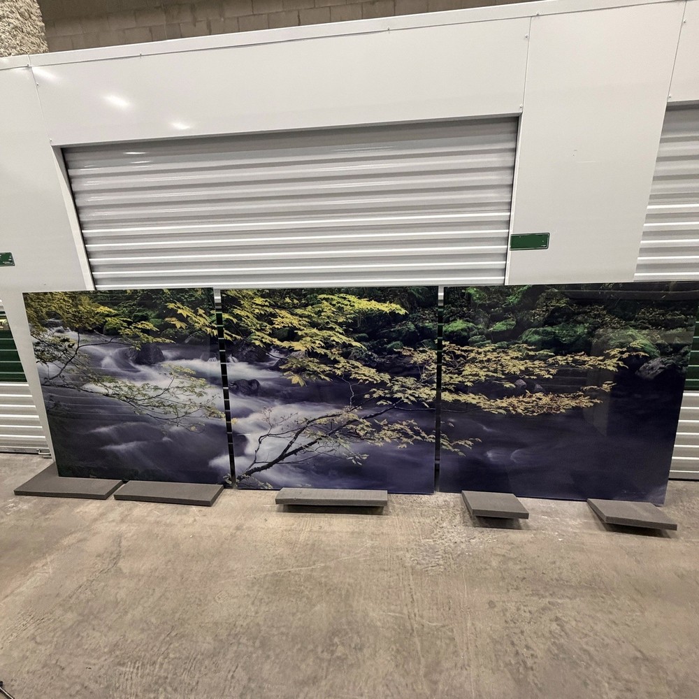 Peter Lik «Forest Dreams» 12 Foot Epic Washington Picture Recess