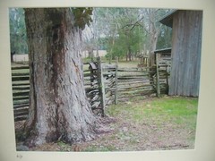 MATTED PHOTOGRAPHY A/P Wooden Fence on Homestead 20×16 Larry Santucci 2007