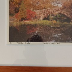Michael Chen Signed Limited Edition Photo Set of 3 Matted & Framed Central Park