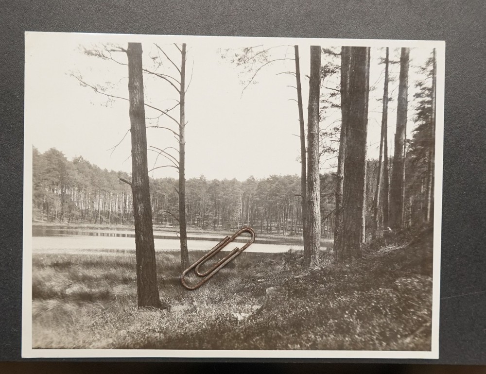 Photo view village Seddiner See Potsdam Mittelmark building forest landscape picture