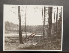 Photo view village Seddiner See Potsdam Mittelmark building forest landscape picture