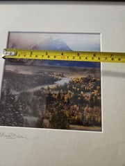 Winter / Summer 2-Phase 3D Picture Signed by Michael Brown