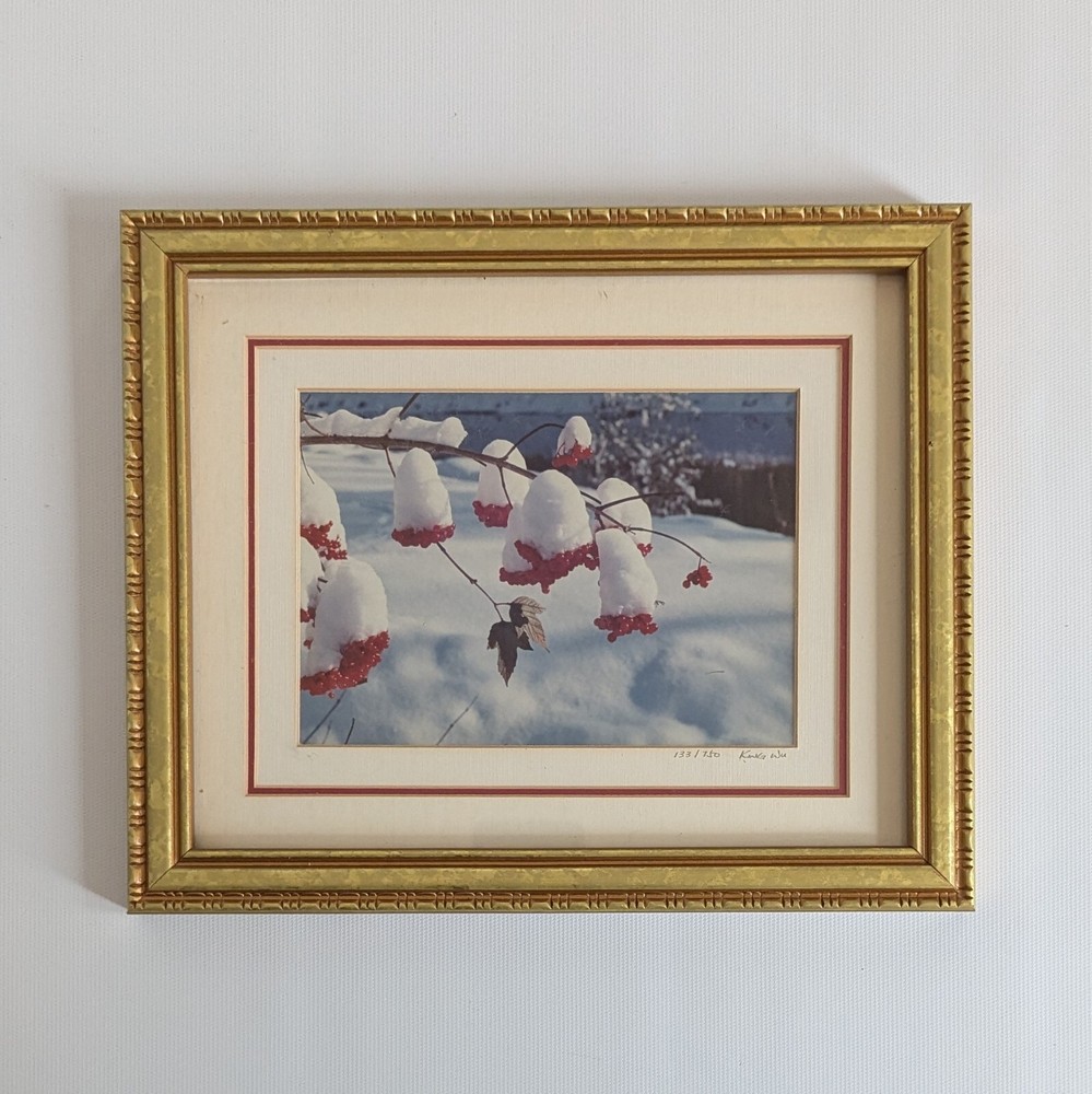 King Wu Signed And Numbered – 9×11 Framed Color Photo – Snow Covered Red Berries