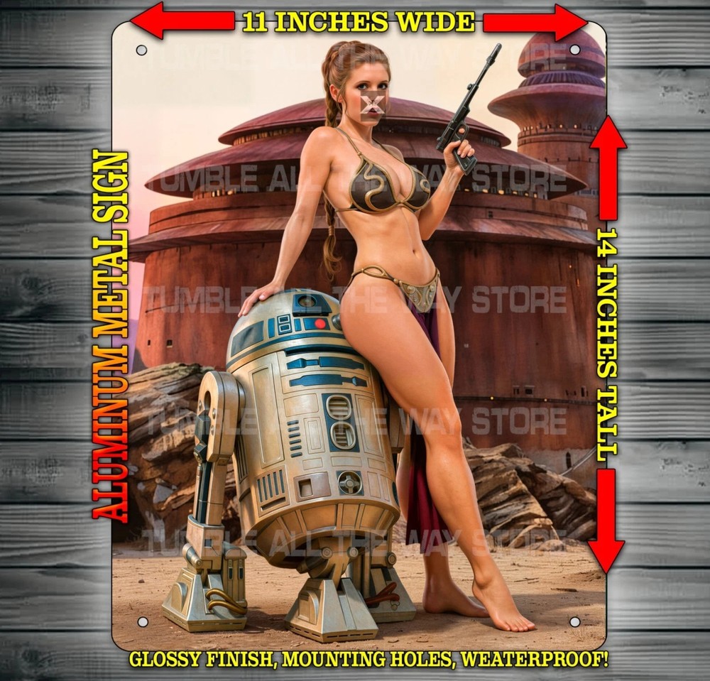 Slave Leia and R2D2 Outside Jabbas Palace Star Wars Metal Sign Art 14″ x 11″