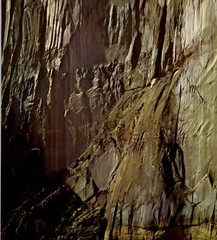 1962 Eliot Porter Glen Canyon Wall Colorado River’s Edge Art Photo Gravure