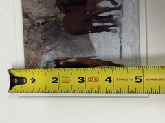 Tri Photo Horse Themed Piece In Wood Frame Signed