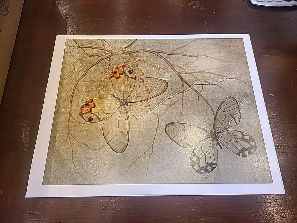Jo Whaley Cithaeirias Menander: In Veins 11 by 14 Orig 11 by 14 Butterflies