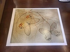 Jo Whaley Cithaeirias Menander: In Veins 11 by 14 Orig 11 by 14 Butterflies