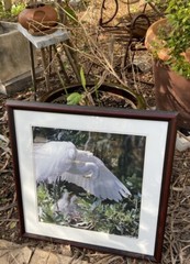 Great Egret, Florida Photography by Robert Clibbon Signed Print
