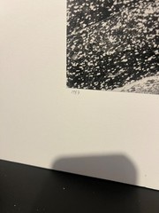 📸 1988 Museum Print Ansel Adams Award Jim Stimson «Pine Pollen Tamarack Lake»