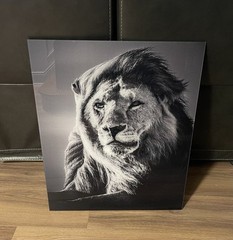 Baheux Laurent 2007 ‘Lion In The Wind V’ Limited Edition #33/500 • Framed