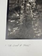 Jim Fitzgerald The Group of Three Signed Photograph Carbon Transfer