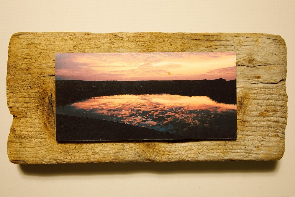 Driftwood Mounted Seascape – Heather Hills Walking Sand Dune, New York