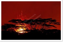 2018 Hawaii Fissure 17 Evening Lava Fountain Kilauea Volcano Silver Halide Photo