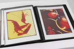 Photo Album – FISH MARKET Art Original Photography 40 – 5″ x 7″ Art Prints