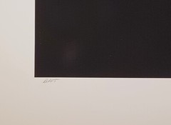 Original Large Format Black & White Photo Bat by Charles Fendrock Listed