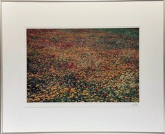 Ernst Haas «Flowers» Photograph