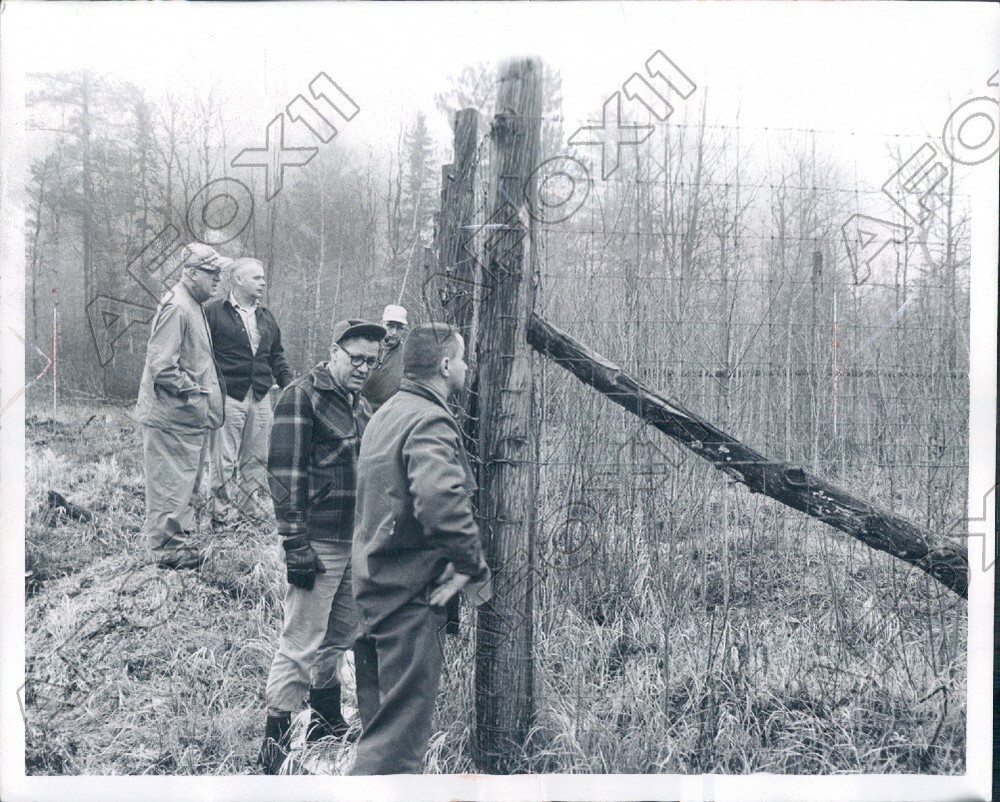 1966 Michigan State Representative Looked Over Deer Proof Enclosure Press Photo