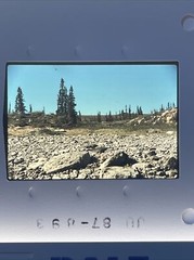 Lot Of 34 1987 Horton River North West Territory Boating 35mm Color Slides