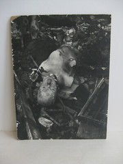 Vtg 1965 DAVID S. JOHNSON WATTS RIOTS PHOTOGRAPH AFRICAN AMERICAN LISTED ARTIST