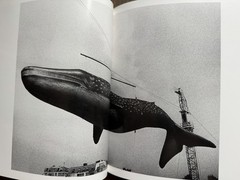 🎈SIGNED! Daido Moriyama – Visions of Japan, 1999, First Ed, Paris SupRARE!