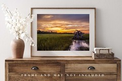 Dead Tree in Salt Marsh Print, South Carolina Pictures, Coastal Lowcountry Decor
