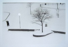 WOLF VON DEM BUSSCHE Signed 1976 Original Photograph from «Homage to Kertész»