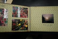 Photo Album Neukirch Lusatia Sorbs Distillery Advertising Parade Factory Masonic Lot