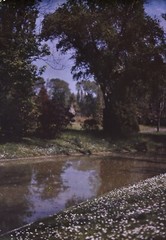Original glass autochrome 13×18 cm. View around a water source.